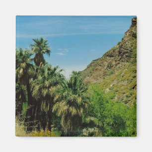 Palm Springs Magnet