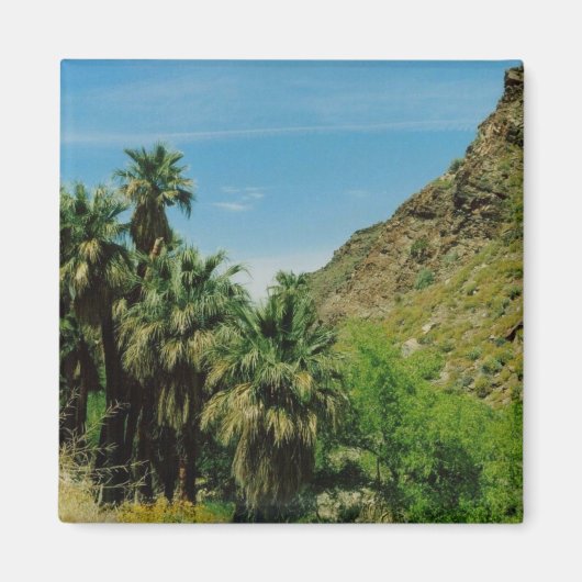 Palm Springs Magnet (Vorne)