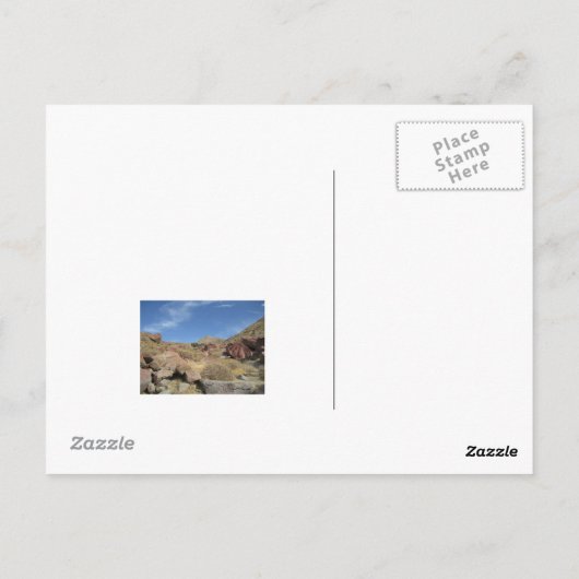 Palm Springs Postcard Postkarte (Rückseite)