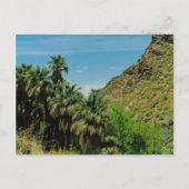 Palm Springs Scene Postkarte (Vorderseite)