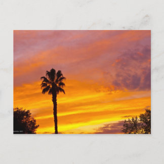 Palm Springs Sunset Postkarte