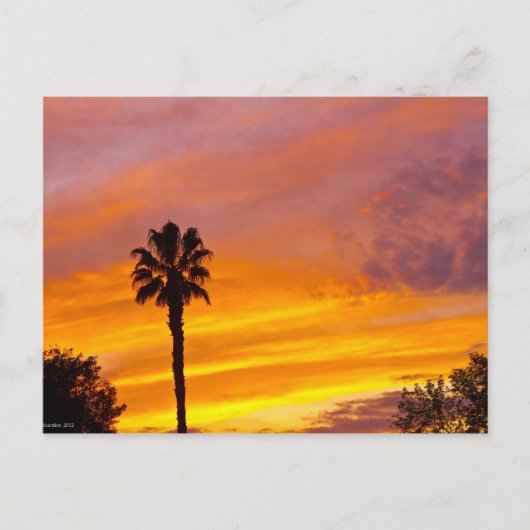Palm Springs Sunset Postkarte (Vorderseite)