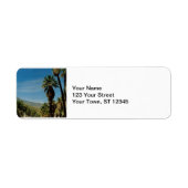 Palm Springs View (Vorne)