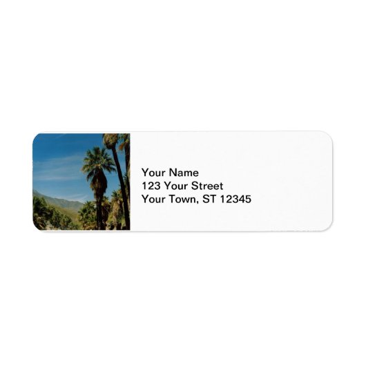 Palm Springs View (Vorne)