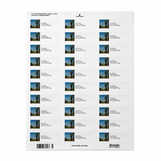 Palm Springs View (Vorne)