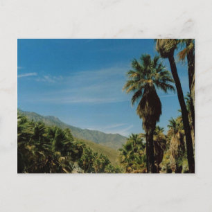 Palm Springs View Postkarte
