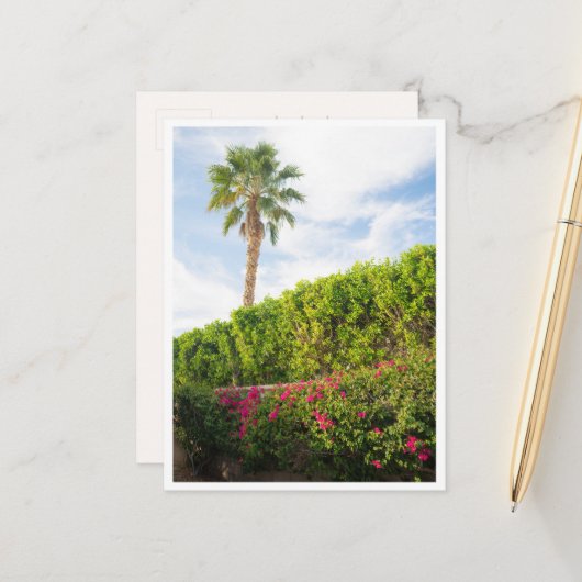 Palm Springs Wüstenblumen & Palme Postkarte (Vorderseite/Rückseite Beispiel)