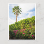 Palm Springs Wüstenblumen & Palme Postkarte (Vorderseite)