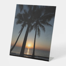 Palm Sunrise Dékorationsschild – Küstenmorgen