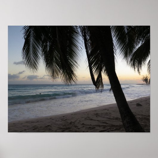 Palm Sunset Barbados Poster (Vorne)