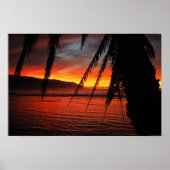 Palm Sunset Poster (Vorne)