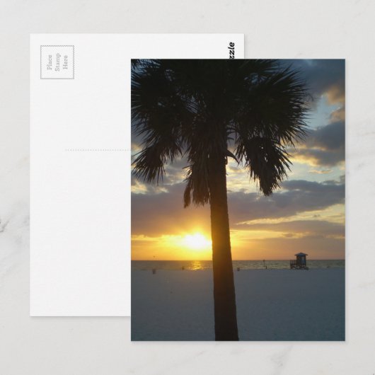 Palm Sunset Postkarte (Vorne/Hinten)