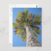 Palm Tower Postcard Postkarte (Vorne/Hinten)