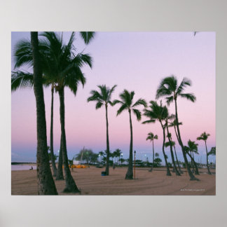 Palm Tree 2 Poster