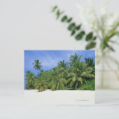 Palm Tree 3 Postkarte (Stehend Vorderseite)