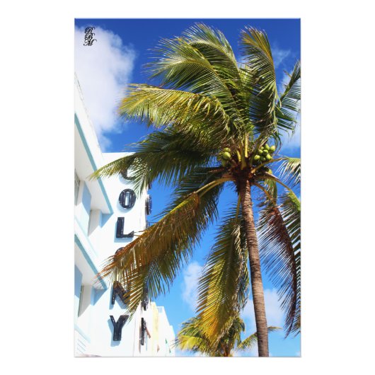 Palm Tree am Miami Beach Fotodruck (Vorne)