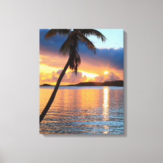 Palm Tree and Caribbean Sunset Sky, St. Thomas Leinwanddruck (Vorderseite)