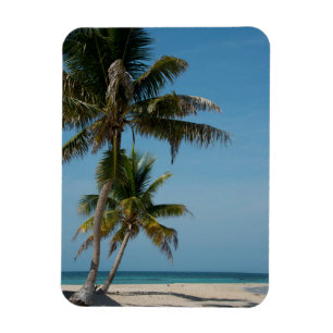 Palm tree and White Beach Magnet