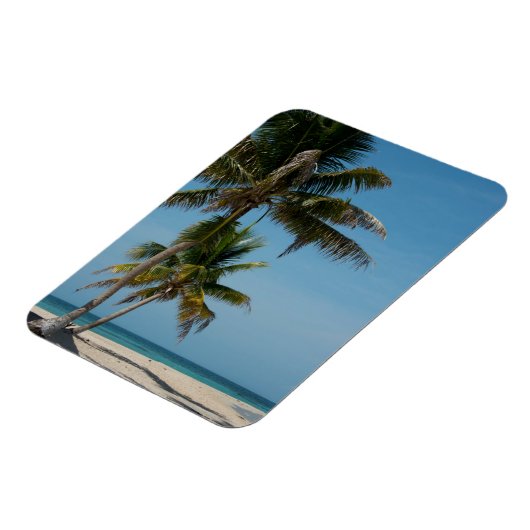 Palm tree and White Beach Magnet (Linke Seite)
