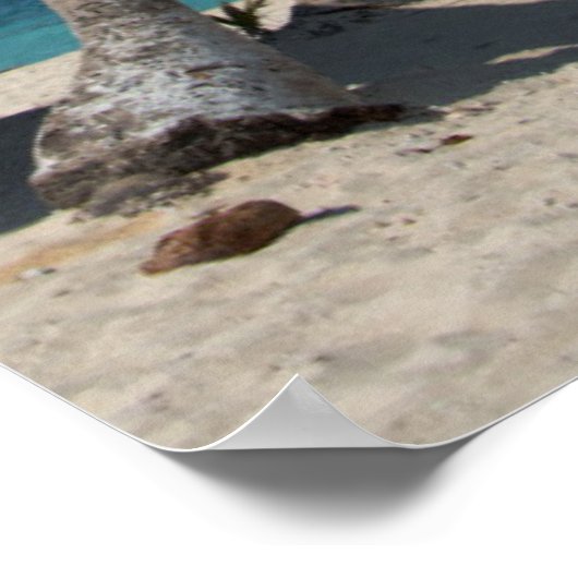 Palm tree and White Beach Poster (Ecke)