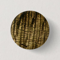 Palm Tree Bark