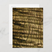 Palm Tree Bark Einladungspostkarte (Vorne/Hinten)