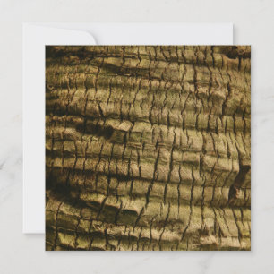 Palm Tree Bark Feiertagskarte