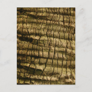 Palm Tree Bark Feiertagspostkarte