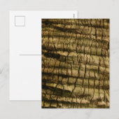 Palm Tree Bark Feiertagspostkarte (Vorne/Hinten)