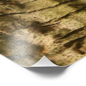 Palm Tree Bark Fotodruck (Ecke)