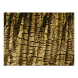 Palm Tree Bark Fotodruck