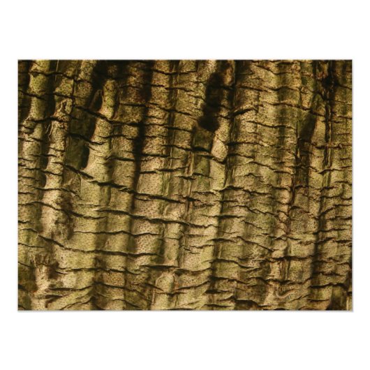 Palm Tree Bark Fotodruck (Vorne)
