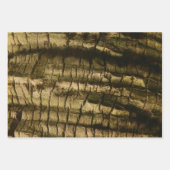 Palm Tree Bark Geschenkpapier Set (Vorderseite)