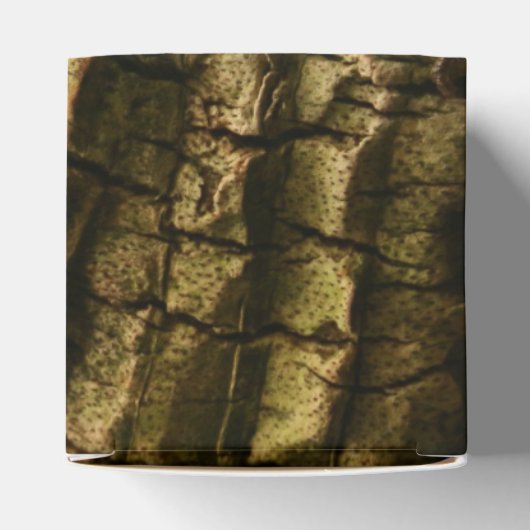 Palm Tree Bark Geschenkschachtel (Oben)