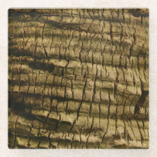Palm Tree Bark Glasuntersetzer
