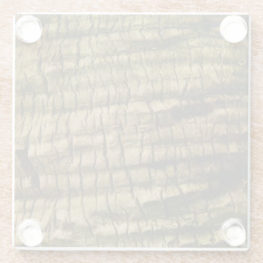 Palm Tree Bark Glasuntersetzer (Rückseite)
