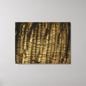 Palm Tree Bark Leinwanddruck (Vorderseite)