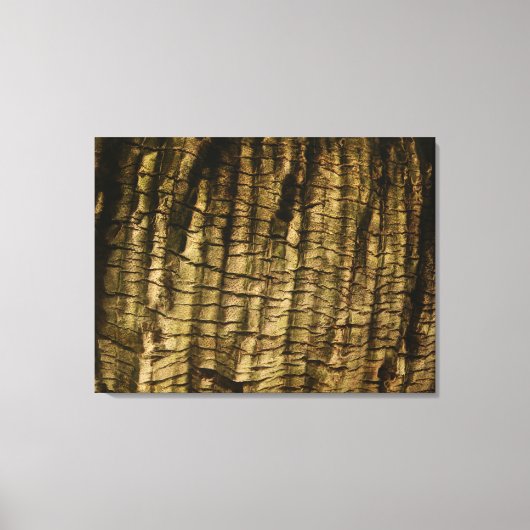 Palm Tree Bark Leinwanddruck (Vorderseite)