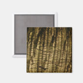 Palm Tree Bark Magnet (Vorderseite/Rückseite)