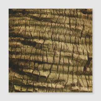 Palm Tree Bark Magnetkarte