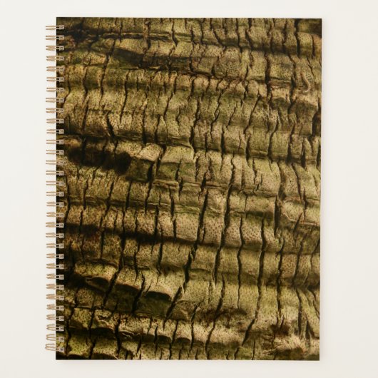 Palm Tree Bark Planer (Vorderseite)