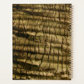 Palm Tree Bark Planer (Rückseite)