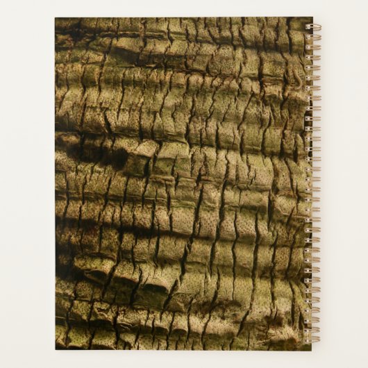 Palm Tree Bark Planer (Rückseite)