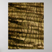 Palm Tree Bark Poster (Vorne)
