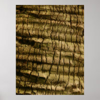 Palm Tree Bark
