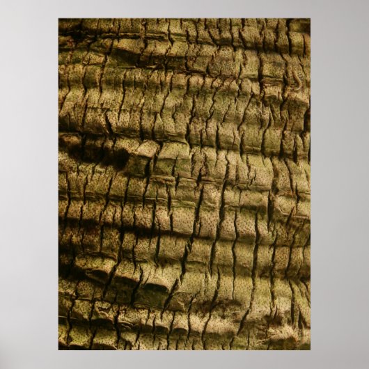 Palm Tree Bark Poster (Vorne)