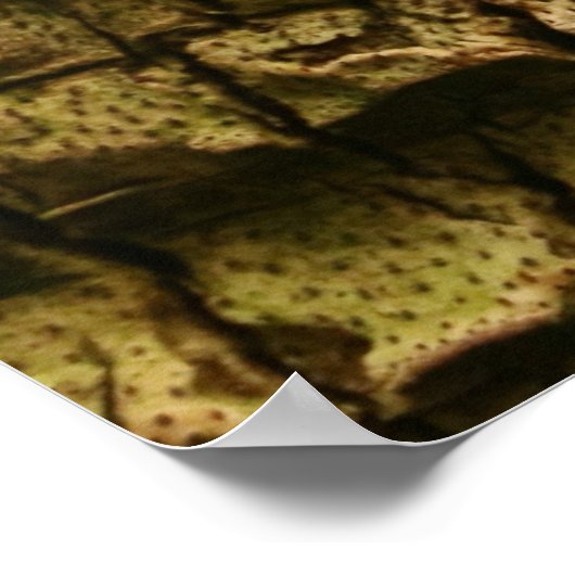 Palm Tree Bark Poster (Ecke)
