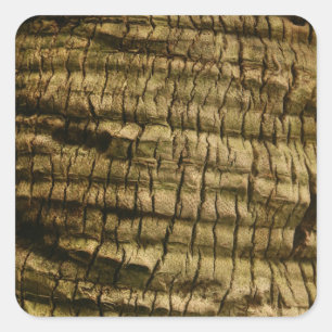 Palm Tree Bark Quadratischer Aufkleber