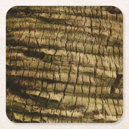 Palm Tree Bark Rechteckiger Pappuntersetzer (Vorderseite)