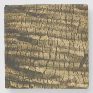 Palm Tree Bark Steinuntersetzer